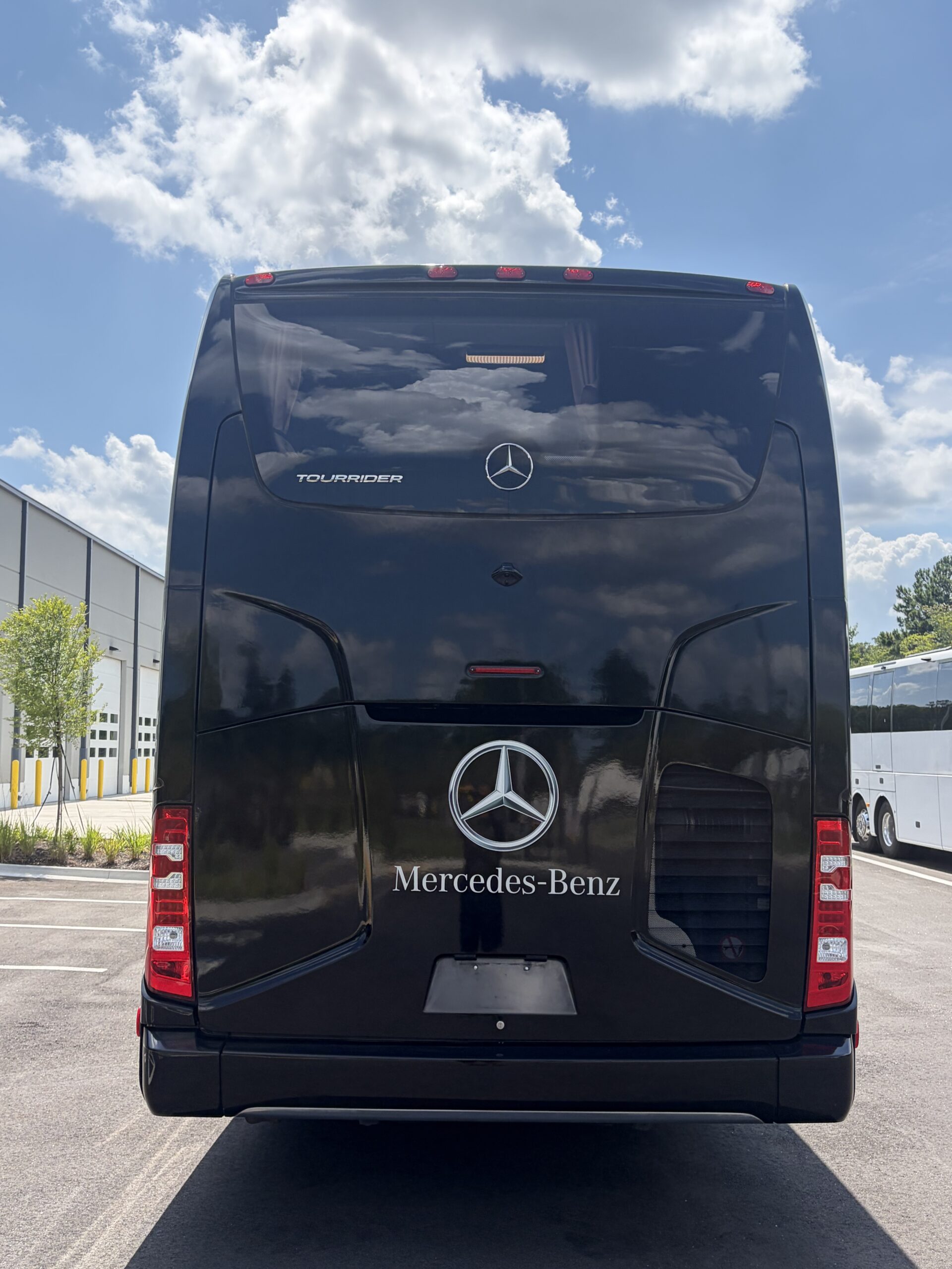 NTP89175 bus image